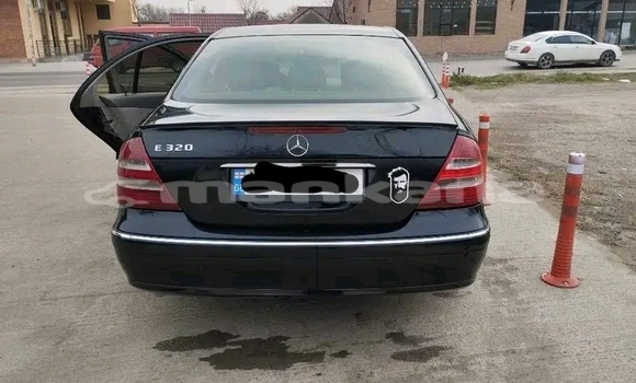 Buy Used De Tomaso Mangusta Other Car in Chiatura in Imereti Buy Used De Tomaso Mangusta Other Car in Chiatura in Imereti