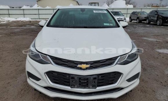 Buy Used Chevrolet Cruze White Car in Tbilisi in Tbilisi Buy Used Chevrolet Cruze White Car in Tbilisi in Tbilisi
