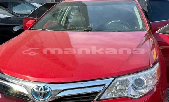 Buy Used Toyota Camry Red Car in Tbilisi in Tbilisi Buy Used Toyota Camry Red Car in Tbilisi in Tbilisi