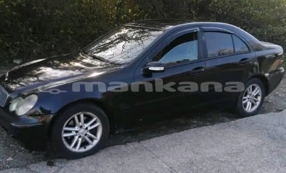 Buy Used Toyota Blade Black Car in Gulripshi in Abhasia Buy Used Toyota Blade Black Car in Gulripshi in Abhasia