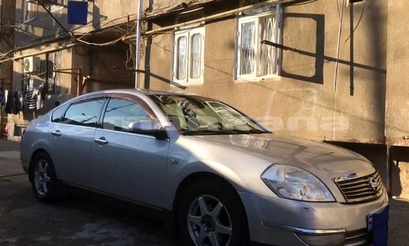 Buy Used Nissan Murano Other Car in Bihvinta in Abhasia Buy Used Nissan Murano Other Car in Bihvinta in Abhasia