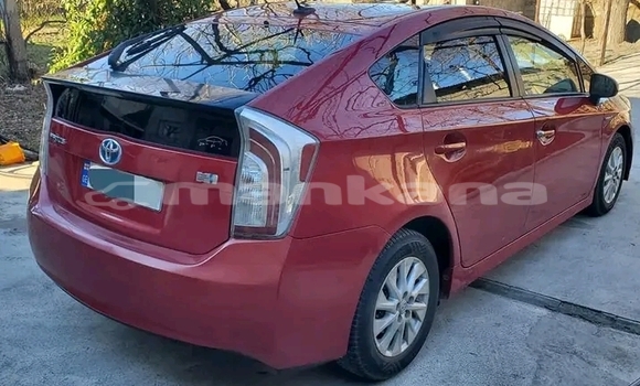 Buy Used Toyota Axio Red Car in Bagdadi in Imereti