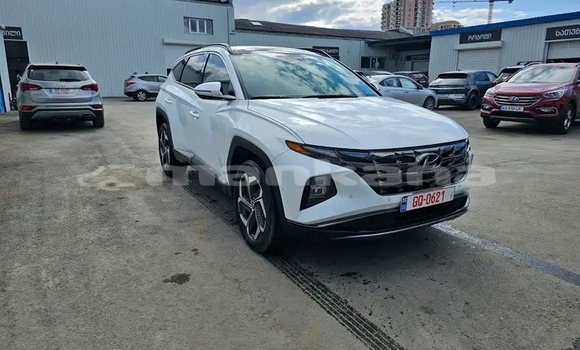 Buy Used Hyundai Excel White Car in Ninocminda in Samche-Zhavaheti Buy Used Hyundai Excel White Car in Ninocminda in Samche-Zhavaheti