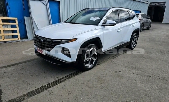 Buy Used Hyundai Excel White Car in Ninocminda in Samche-Zhavaheti Buy Used Hyundai Excel White Car in Ninocminda in Samche-Zhavaheti