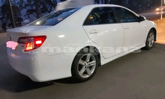 Buy Used BMW 507 White Car in Batumi in Ajaria