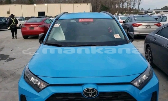 Buy Used Toyota RAV4 Blue Car in Ahali Atoni in Abhasia Buy Used Toyota RAV4 Blue Car in Ahali Atoni in Abhasia