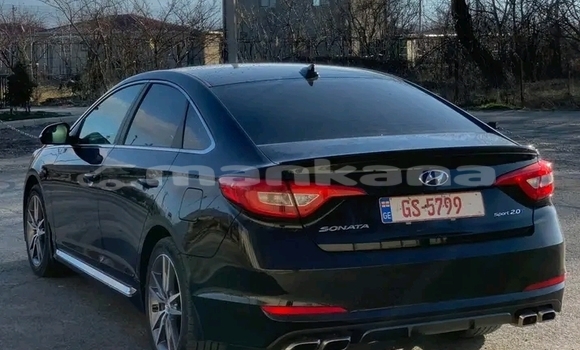 Buy Used Hyundai Sonata Other Car in Gurdzhaani in Kaheti Buy Used Hyundai Sonata Other Car in Gurdzhaani in Kaheti
