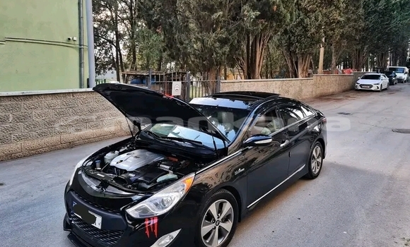 Buy Used BMW 502 Black Car in Ahalkalaki in Samche-Zhavaheti Buy Used BMW 502 Black Car in Ahalkalaki in Samche-Zhavaheti