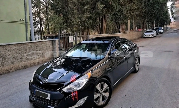 Buy Used BMW 502 Black Car in Ahalkalaki in Samche-Zhavaheti Buy Used BMW 502 Black Car in Ahalkalaki in Samche-Zhavaheti