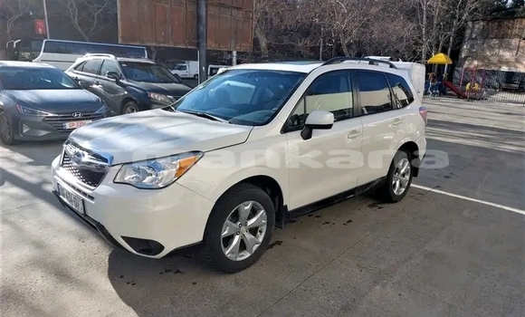 Buy Used Toyota Highlander White Car in Bagdadi in Imereti Buy Used Toyota Highlander White Car in Bagdadi in Imereti
