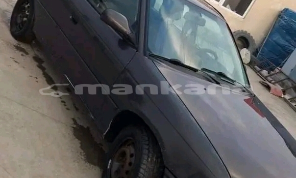Buy Used Bitter Type 3 Black Car in Bagdadi in Imereti Buy Used Bitter Type 3 Black Car in Bagdadi in Imereti