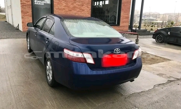 Buy Used AC Aceca Other Car in Ambrolauri in Racha