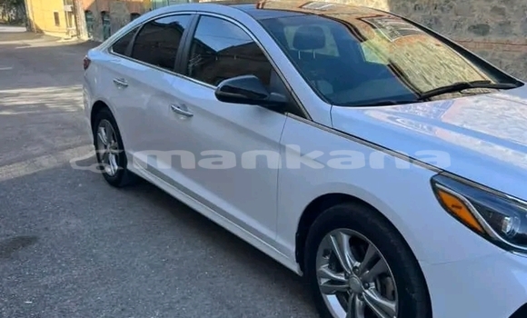 Buy Used Subaru Brat White Car in Bagdadi in Imereti