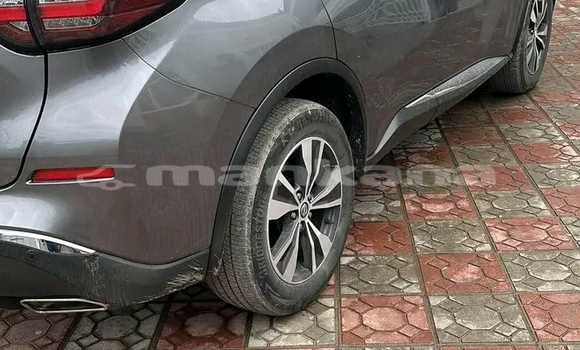 Buy Used Nissan Cherry Green Car in Mcheta in Mcheta-Mtianeti Buy Used Nissan Cherry Green Car in Mcheta in Mcheta-Mtianeti