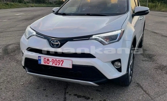 Buy Used FORD MUSTANG White Car in Ahali Atoni in Abhasia Buy Used FORD MUSTANG White Car in Ahali Atoni in Abhasia