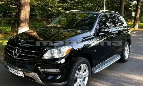 Buy Used AMC Hornet Black Car in Batumi in Ajaria Buy Used AMC Hornet Black Car in Batumi in Ajaria