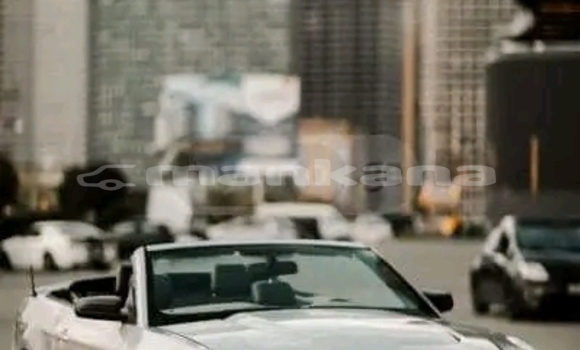 Buy Used FORD MUSTANG White Car in Cageri in Racha Buy Used FORD MUSTANG White Car in Cageri in Racha