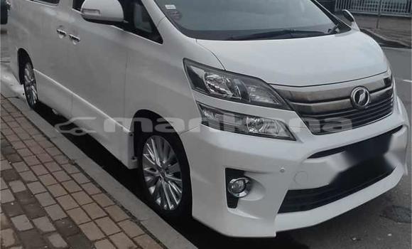 Buy Used Toyota Vellfire White Car in Batumi in Ajaria