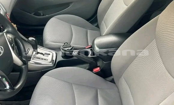 Buy Used Hyundai Elantra Other Car in Gurdzhaani in Kaheti Buy Used Hyundai Elantra Other Car in Gurdzhaani in Kaheti