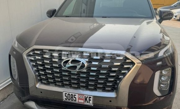 Buy Used Hyundai Pony Black Car in Ahalkalaki in Samche-Zhavaheti