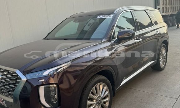 Buy Used Hyundai Pony Black Car in Ahalkalaki in Samche-Zhavaheti Buy Used Hyundai Pony Black Car in Ahalkalaki in Samche-Zhavaheti