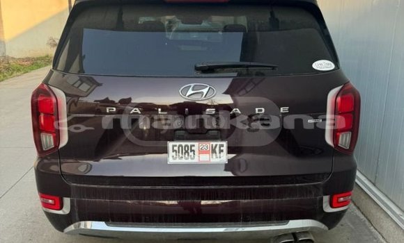 Buy Used Hyundai Pony Black Car in Ahalkalaki in Samche-Zhavaheti Buy Used Hyundai Pony Black Car in Ahalkalaki in Samche-Zhavaheti