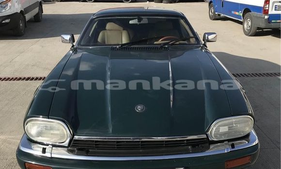 Buy Used Jaguar XJS Black Car in Bagdadi in Imereti