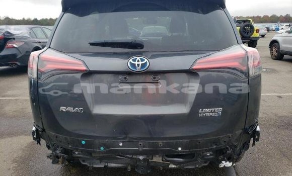 Buy Used Toyota RAV4 Other Car in Tbilisi in Tbilisi Buy Used Toyota RAV4 Other Car in Tbilisi in Tbilisi
