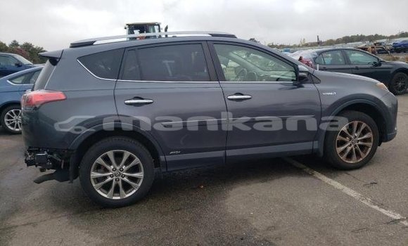 Buy Used Toyota RAV4 Other Car in Tbilisi in Tbilisi Buy Used Toyota RAV4 Other Car in Tbilisi in Tbilisi