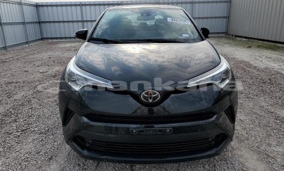 Buy Used Toyota C-HR Black Car in Ahmeta in Kaheti
