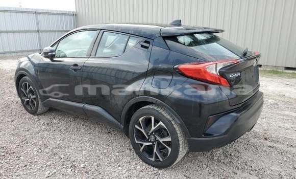 Buy Used Toyota C-HR Black Car in Ahmeta in Kaheti Buy Used Toyota C-HR Black Car in Ahmeta in Kaheti