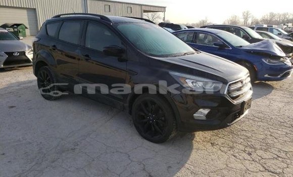 Buy Used Ford Escape Black Car in Ahmeta in Kaheti