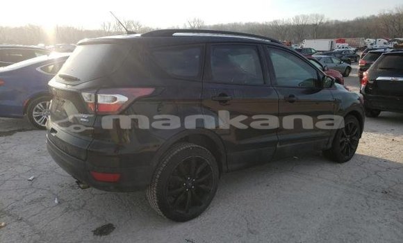 Buy Used Ford Escape Black Car in Ahmeta in Kaheti Buy Used Ford Escape Black Car in Ahmeta in Kaheti