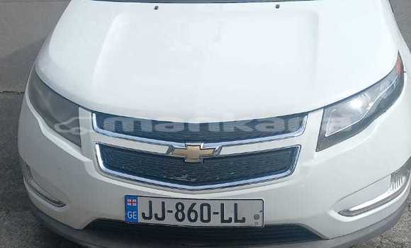 Buy Used Chevrolet Volt White Car in Tbilisi in Tbilisi