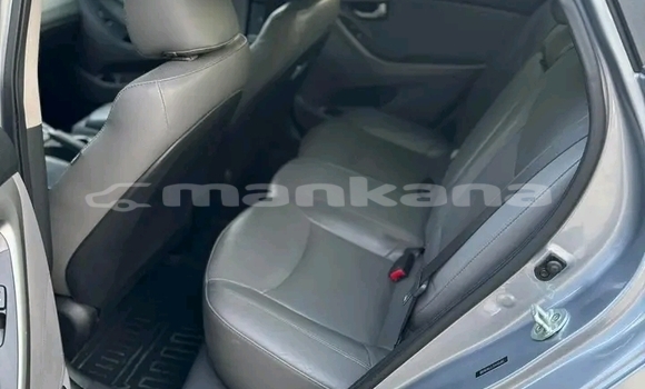 Buy Used Hyundai Elantra Other Car in Bihvinta in Abhasia Buy Used Hyundai Elantra Other Car in Bihvinta in Abhasia
