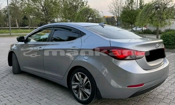 Buy Used Hyundai Elantra Other Car in Bihvinta in Abhasia Buy Used Hyundai Elantra Other Car in Bihvinta in Abhasia