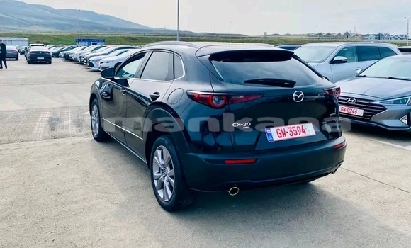 Buy Used BMW 2-Series Black Car in Honi in Imereti Buy Used BMW 2-Series Black Car in Honi in Imereti