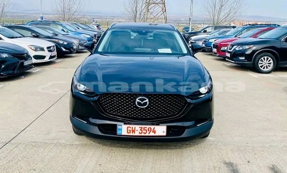 Buy Used BMW 2-Series Black Car in Honi in Imereti Buy Used BMW 2-Series Black Car in Honi in Imereti