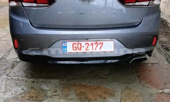 Buy Used Toyota STOUT Other Car in Ambrolauri in Racha Buy Used Toyota STOUT Other Car in Ambrolauri in Racha