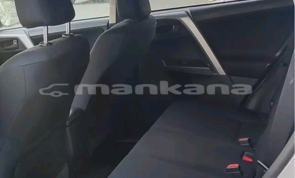 Buy Used Toyota RAV4 Other Car in Lagodehi in Kaheti Buy Used Toyota RAV4 Other Car in Lagodehi in Kaheti