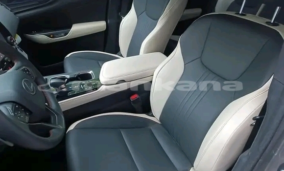 Buy Used Lexus RX 350 Other Car in Bihvinta in Abhasia Buy Used Lexus RX 350 Other Car in Bihvinta in Abhasia