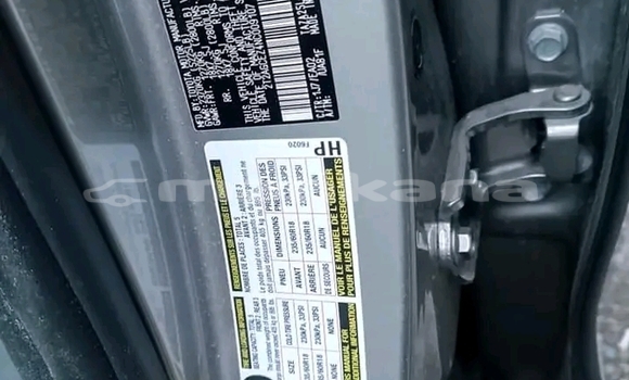 Buy Used Lexus RX 350 Other Car in Bihvinta in Abhasia Buy Used Lexus RX 350 Other Car in Bihvinta in Abhasia