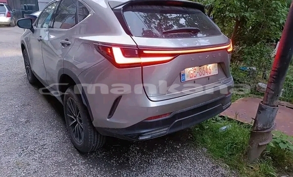 Buy Used Lexus RX 350 Other Car in Bihvinta in Abhasia Buy Used Lexus RX 350 Other Car in Bihvinta in Abhasia