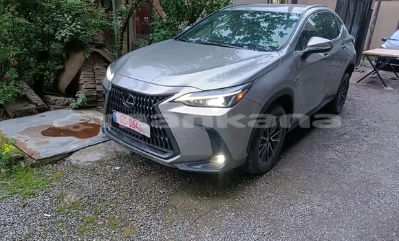 Buy Used Lexus RX 350 Other Car in Bihvinta in Abhasia Buy Used Lexus RX 350 Other Car in Bihvinta in Abhasia