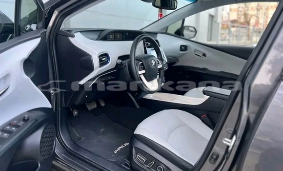 Buy Used Toyota Prius Black Car in Ahalkalaki in Samche-Zhavaheti