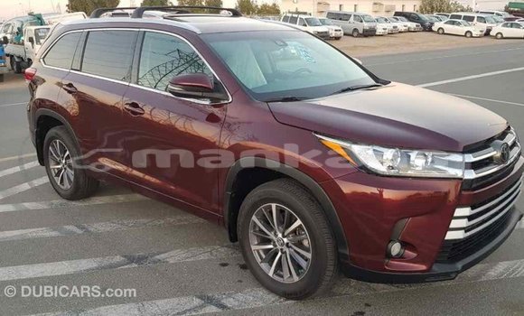 Buy Import Toyota Highlander Other Car in Import - Dubai in Abhasia Buy Import Toyota Highlander Other Car in Import - Dubai in Abhasia