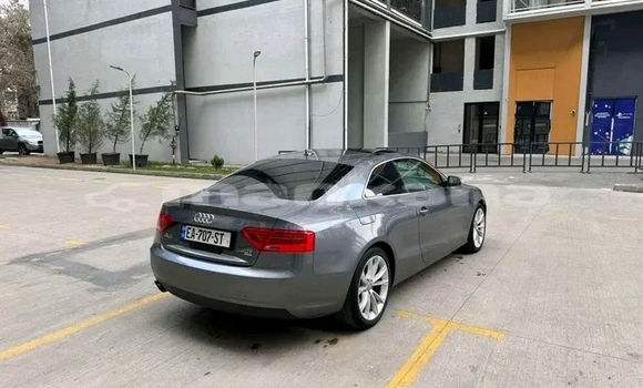 Buy Used BMW 2er Black Car in Vale in Samche-Zhavaheti Buy Used BMW 2er Black Car in Vale in Samche-Zhavaheti