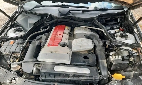 Buy Used Mercedes-Benz CLK–Class Other Car in Honi in Imereti Buy Used Mercedes-Benz CLK–Class Other Car in Honi in Imereti