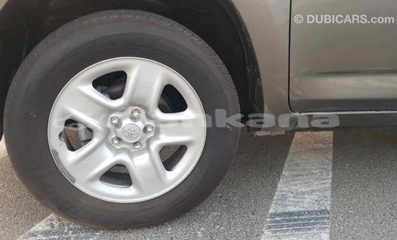 Buy Import Toyota HiAce Brown Truck in Import - Dubai in Abhasia Buy Import Toyota HiAce Brown Truck in Import - Dubai in Abhasia