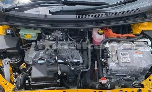 Buy Used Ariel Atom Other Car in Bihvinta in Abhasia Buy Used Ariel Atom Other Car in Bihvinta in Abhasia